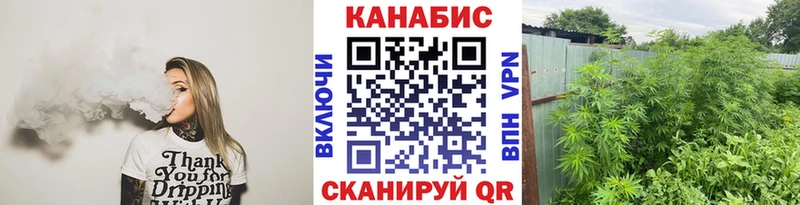 Каннабис Bruce Banner  площадка наркотические препараты  Новая Ладога  купить наркотик 